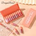 Dragon Ranee 10 Pieces Velvet Matte Pink Lipstick Set Sexy Long Lasting Makeup Waterproof Lip Gloss for Girls DR23. 