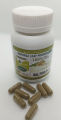 100 moringa oliefra leaf extract pills // pure and 100% organic // natural weight loss solution //. 