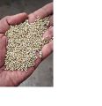 Bajra Flour(1 Kg)For Eating And Cooking|Pearl Millet Flour|Produce From Organic Farms. 
