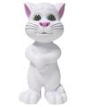 Talking Tom Cat For Kids. 