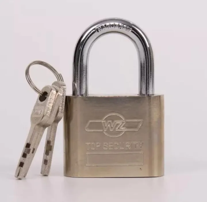 LONGHUAN%20TOP%20SECURITY%20PADLOCK.%2060mm.%20-%20Image%202