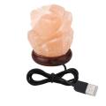 Salt Lamps USB. 