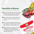 Garden Boron Micro nutrients fertilizer. 