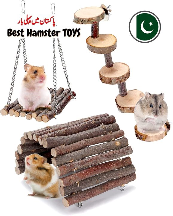 Customized%20handmade%20Hamster%20Chew%20Toys,%20Hamster%20Activity%20Toys%20Accessories%20for%20Teeth%20Care,Natural%20Wood%20Toys%20for%20Hamster,%20Rabbits,%20Bunny,%20Gerbil%20-%20Image%202