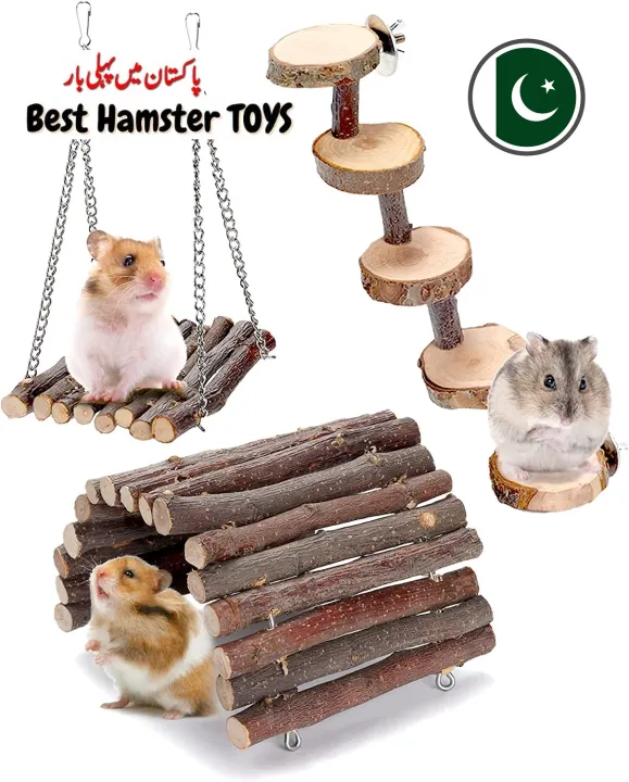 Hamster%20Chew%20Toys,%20Hamster%20Activity%20Toys%20Accessories%20for%20Teeth%20Care,Natural%20Wood%20Toys%20for%20Hamster,%20Rabbits,%20Bunny,%20Gerbil%20-%20Image%202
