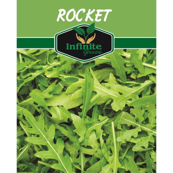 Rocket lettuce ( Arugula Salad) Seeds