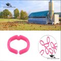 Large Chicken Anti-Pecking Beak Clamps – Plastic Nose Clips - Nose Pins for Poultry. 