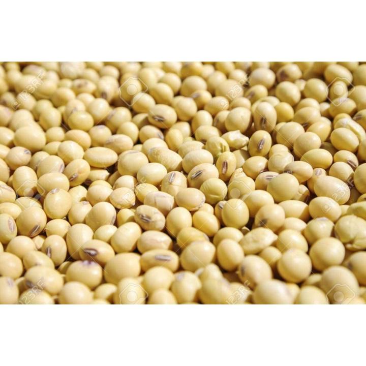 Naturewell Organic White Soya Bean (Whole)  (500 g)