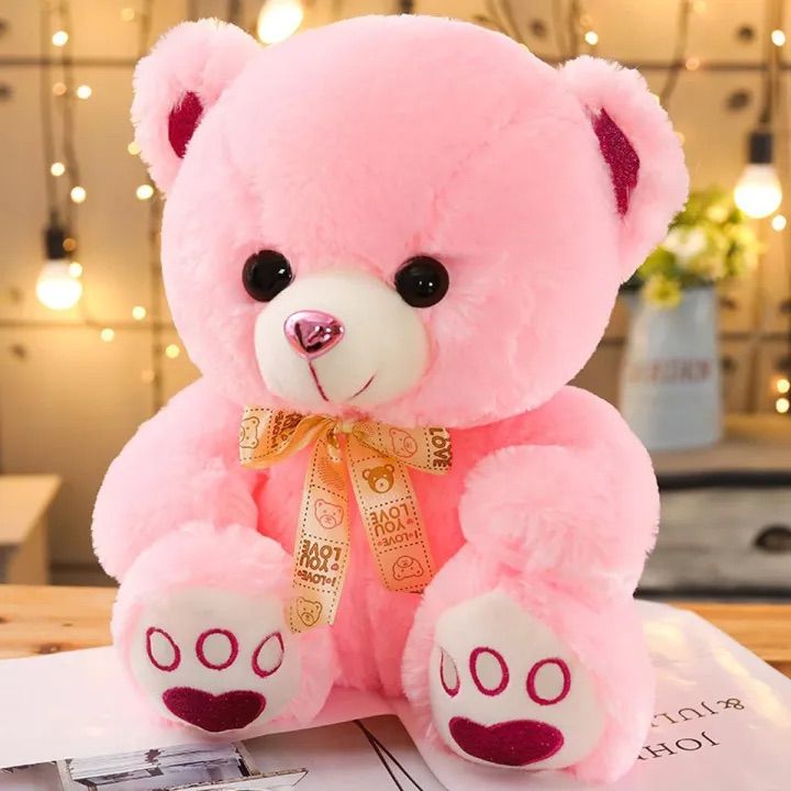 Soft Plush Cute Teddy Bear With 3D Eyes For Kids and Toddlers