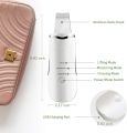 Facial Skin Scrubber Face Spatula, Ultrasonic Skin Spatula Scrubber Blackhead Remover Gentle Peel Peeling Pore Cleanser Exfoliator Lifting Tool Comedones Extractor USB Rechargeable. 