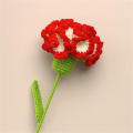 Hand-Knitted Crochet Carnation Flower Bouquet: Perfect Gift for Mum, Perfect for Weddings & Parties. 