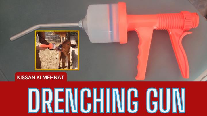 Drenching%20Gun%20%7C%20Drencher%20Oil%20Gun%20%7C%20Drenching%20Gun%20200ML%20-%20Image%203