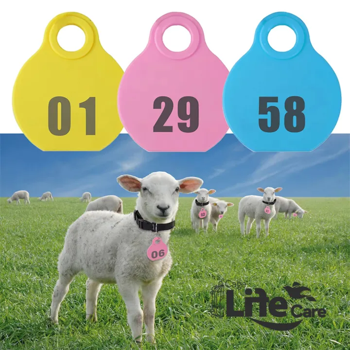 Goat%20Neck%20Tags%20+%20Collar%20Set%20(%20Plan%20Tags%20no%20Numbering%20Mention%20)%20Kisi%20Bhi%20Marker%20Se%20Ap%20Number%20Lihk%20Sahkte%20Hain%20-%20Image%205