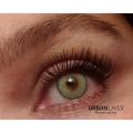 Contact Lense Complete Set Hazel Aqua Blue Green Grey Colors. 