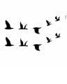 Small Flying Birds Temporary tattoo. 