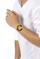 RADO DIASTAR ORIGINAL GOLDEN DIAL WITH DAY & DATE MEN'S WATCH. 