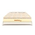 MoltyPlus Foam Mattress. 