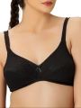Bebelle, Tulips, Bra for girls and women, Casual Bra, Cotton Fabric Bra, Black, B Cup/C Cup. 