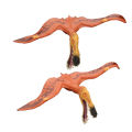 Childrenworld Anhanguera Dinosaur Figurine Model Desktop Decoration Children Toy. 