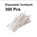300 Pcs Toothpick Individual Paper Wrapped Wooden Toothpicks. 