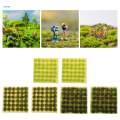 Cluster Grass Scene Grass Tufts Set Model Trains Landscape for Accessory Dioramas Scenery Fairy. 