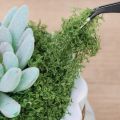 Moss Grass Turf Lawn Artificial Moss Green Fake Plant for Home Garden Wall DIY Micro Landscape Decoration. 