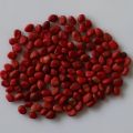 Long Red Radish (Laal Moli) Seeds For Home Kitchen Garden. 