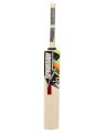 Premium Sports Pack of 6 Cricket Kit (Hard Ball Bat + Hard Ball + Gloves + Cricket Kit Bag + Helmet + Under Guard). 