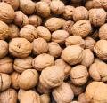 Akhroot kagzi 1 kg best quality walnuts meetha akhroot. 