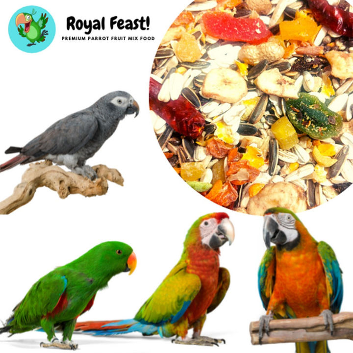 Parrot Food - Fruits Mix Food For African Grey, Paharri, Ring Neck, Macaw and Cockatoo Parrots - Imported Parrot Food