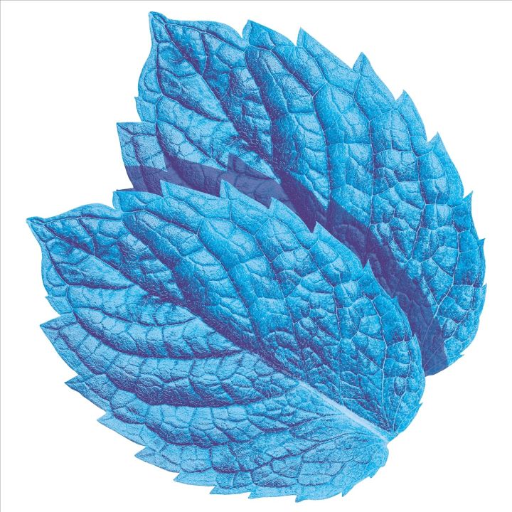 Chewing%20gum%20%7CWRIGLEYS%20%20Extra%20chewing%20gum%20(SWEET%20MINT)%20(SPEARMINT%20)%20(PEPPERMINT%20SUGAR%20FREE)%20%7C%20PACK%20OF%203%20%7C%20In%20original%20&%20best%20quality%20imported%20%7C%2064g*3%20-%20Image%205