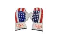Boxing Gloves For Kids With Different Cartoon Printing For 5 to 12 Years ( 1 PAIR MULTICOLOUR). 