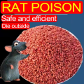 Bait Bite Rat Killer 500g – USA Imported, Fast-Acting, Indoor & Outdoor Rodent Control - Your Household Partner No Ratings ss store. 