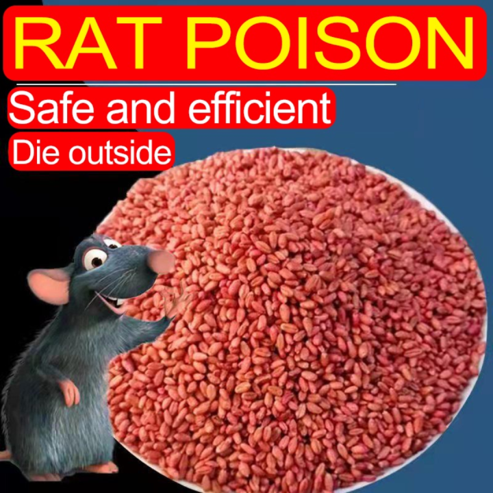 Bait%20Bite%20Rat%20Killer%20500g%20%E2%80%93%20USA%20Imported,%20Fast-Acting,%20Indoor%20&%20Outdoor%20Rodent%20Control%20-%20Your%20Household%20Partner%20No%20Ratings%20ss%20store%20-%20Image%202