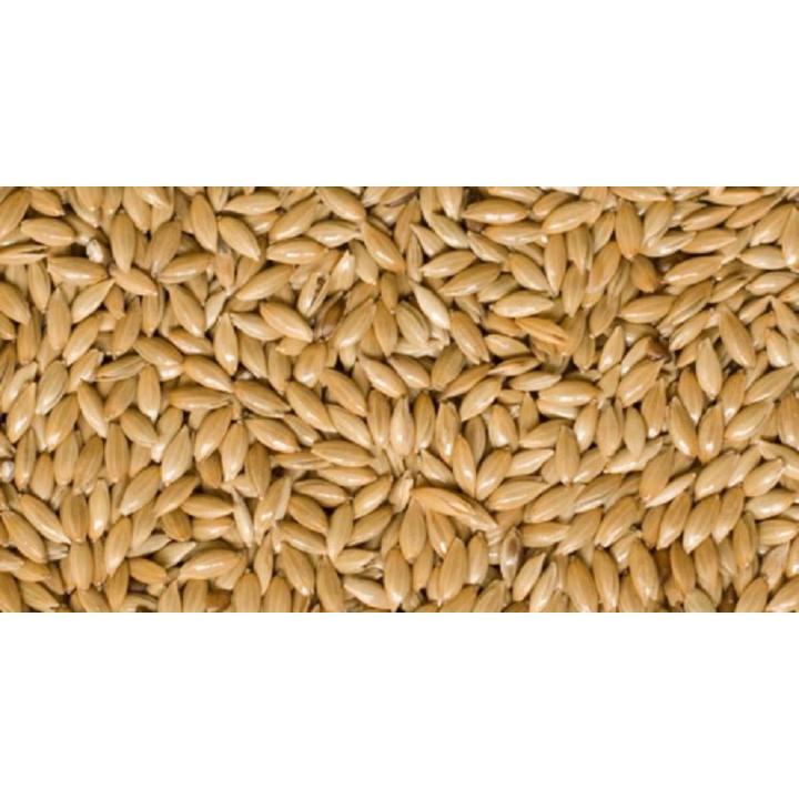 Canary%20Seeds%20Organic%20Natural%20Whole%20Birds%20Food%20%20FH%20TRADER%20-Canary%20Seeds%20-%20Canary%20Seed%20For%20Birds%20-%20Canary%20-%20Canary%20Bird%20Feed%20-Parrot%20Feed%20-%20birds%20feed%20-%20Bird%20food%20-%20Image%202