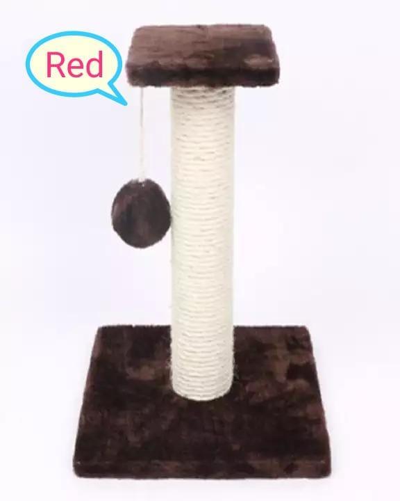 Single Pole wooden scratching post