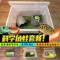 Green Gold Butterfly Bullfrog Horn Frog Package Breeding Box Professional Special Reptile Breeding Box Sponge Frog Mud. 