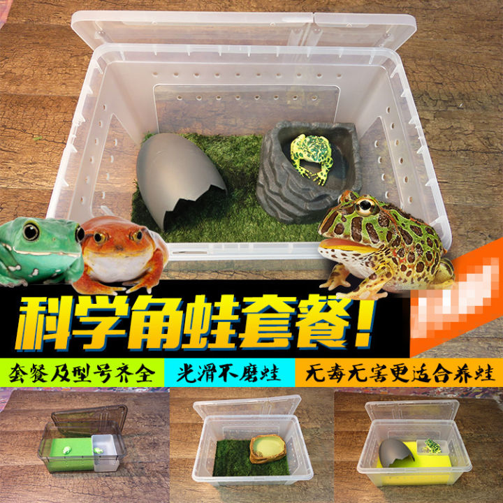 Green Gold Butterfly Bullfrog Horn Frog Package Breeding Box Professional Special Reptile Breeding Box Sponge Frog Mud
