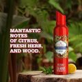 Old Spice Lionpride 0% Gas Deodorant Body Spray 140ml For Men. 