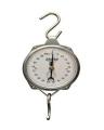 Spring Hanging Weight Scale - 100 Kg. 