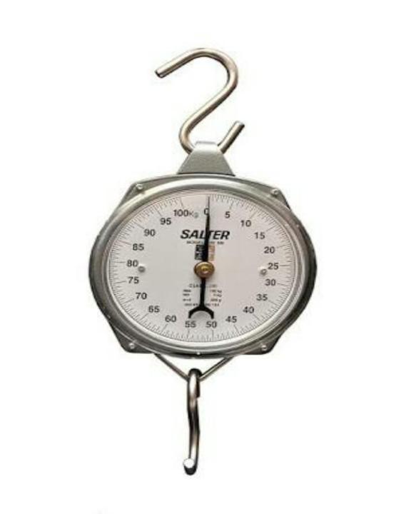 Spring Hanging Weight Scale - 100 Kg