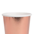 Disposable Paper Cup Glass Collection Table Ware For Shadi Wedding Mehndi Anniversary Bridal & Baby Shower Birthday Parties Juice Tea Soft Drinks Birth Day Party Supplies Tableware Cups & Glasses, Tablewares Decorating Items. 