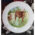 Vintage / Antique Fenton China Staffordshire England Decorative Plate. 