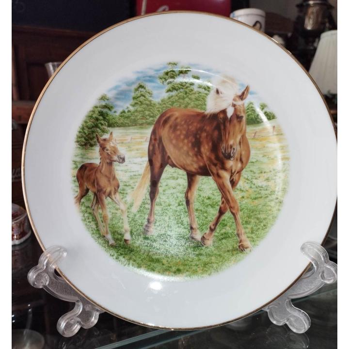 Vintage / Antique Fenton China Staffordshire England Decorative Plate