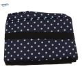 Cat Dark Blue. 