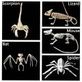 Lizard Horror Bat Party Mouse Home Animal Skeleton Artificial skull Trick Props Plastic Bones. 