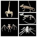 Lizard Horror Bat Party Mouse Home Animal Skeleton Artificial skull Trick Props Plastic Bones. 