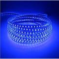Blue LED Rope ceiling Strip Room Decoration Light Flexible SMD Water Proof with All Sizes party light. 