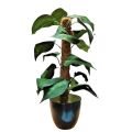 Artificial Plant & Black Pot. 