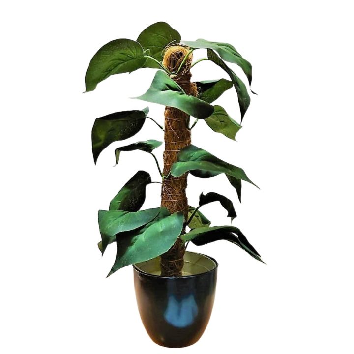 Artificial Plant & Black Pot